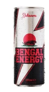 Salaam Bengal energy - 24x250ml