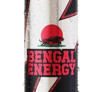 Salaam Bengal energy - 24x250ml