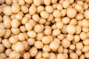 Fresh white washed potatoes 25kg