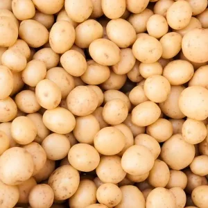 Fresh white washed potatoes 25kg